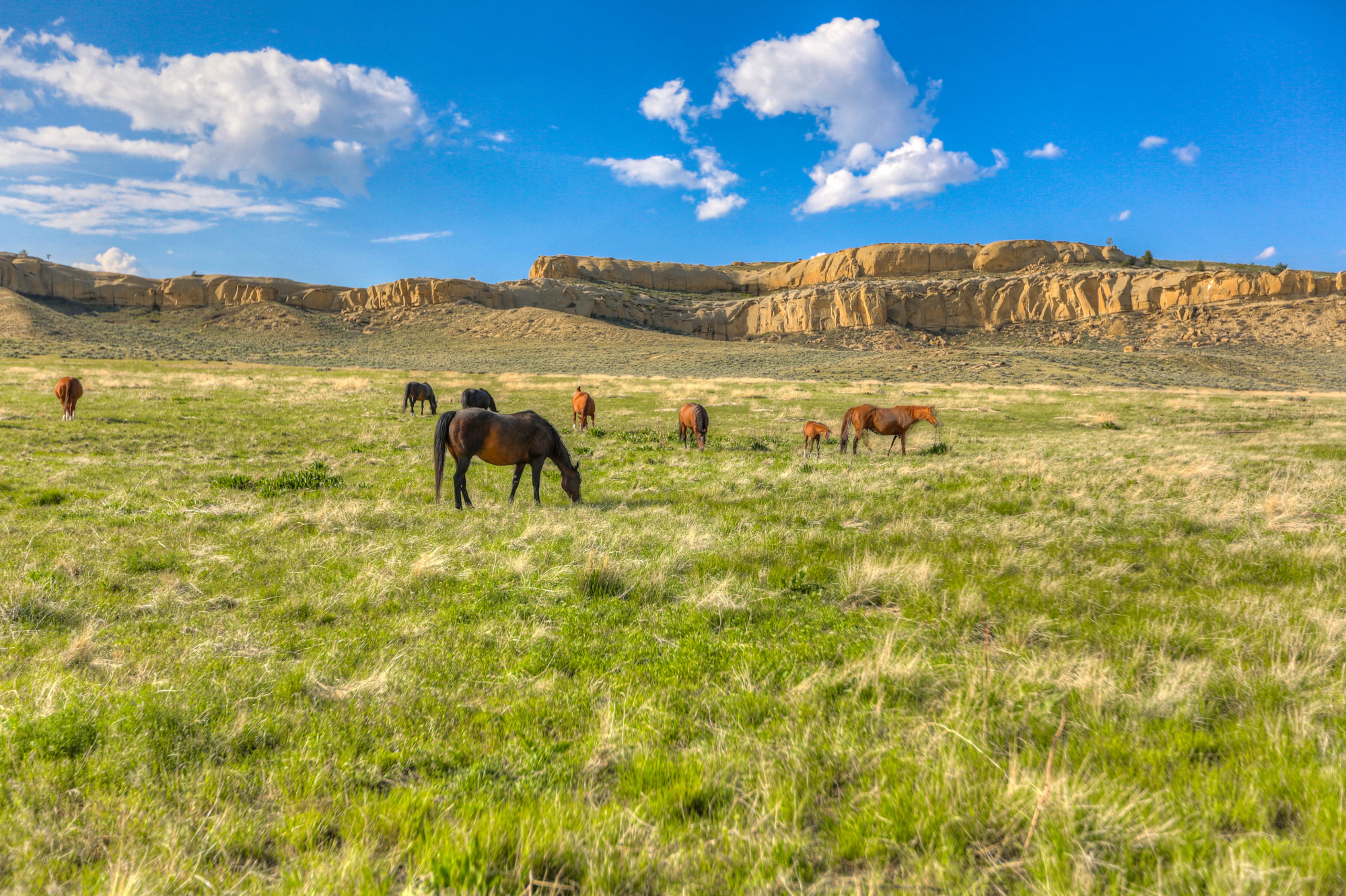 Bighorn Mountain Ranch Kanye West