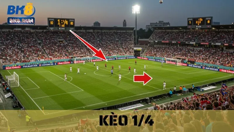 Kèo 1/4 (0.25) BK8 Hướng Dẫn Cách Đọc Tỷ Lệ