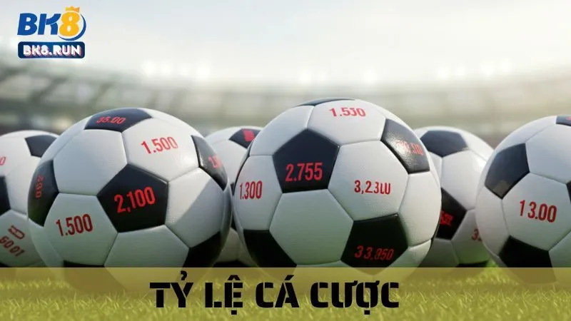 Tổng Hợp Tỷ Lệ Cá Cược Online Thịnh Hành Nhất Cùng BK8